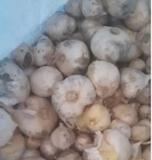 موسیر|خوردنی و آشامیدنی|تهران, شهرک صدرا|دیوار