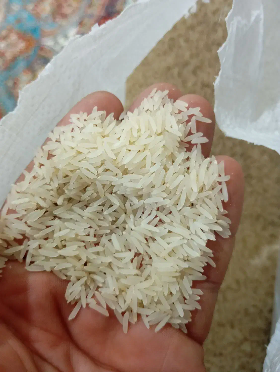 برنج فجر سوزنی|خوردنی و آشامیدنی|گنبد کاووس, |دیوار