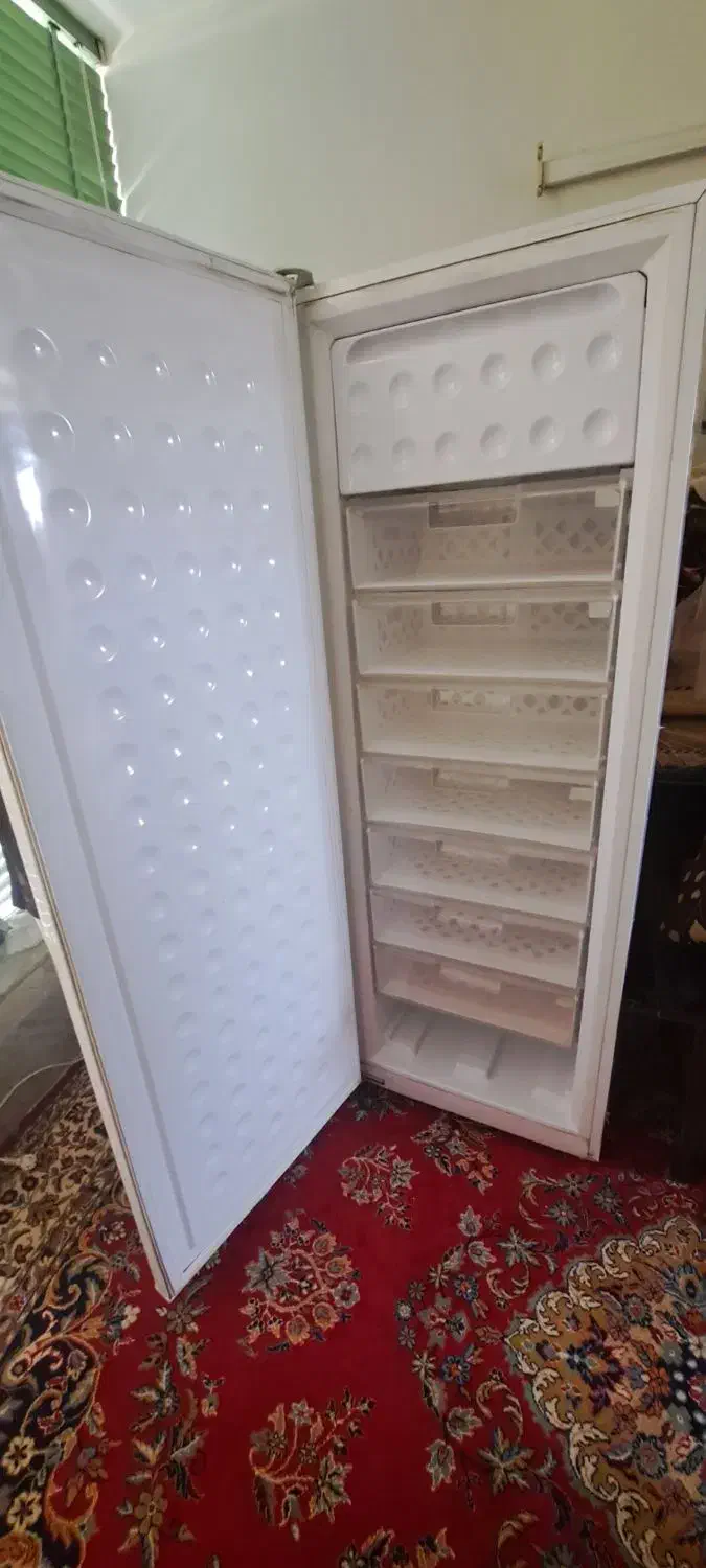 یخچال دوقولو الکترو استیل|یخچال و فریزر|فلاورجان, |دیوار