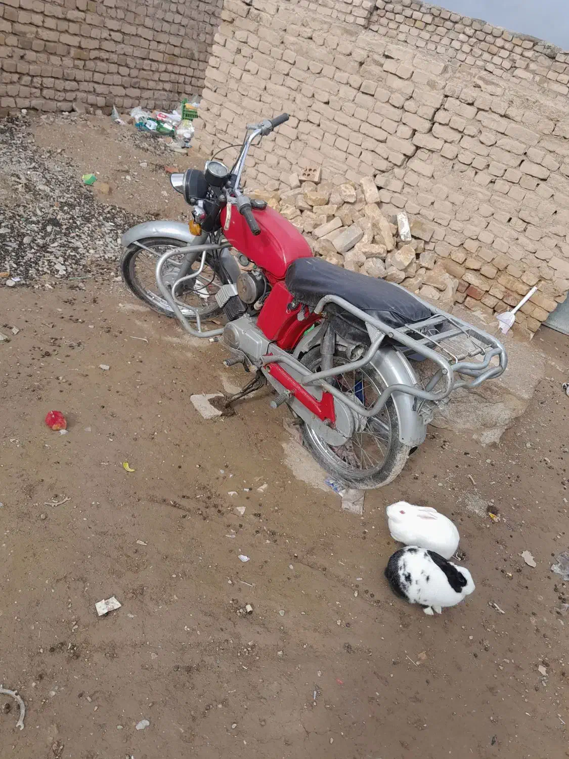 موتور یاماها|موتورسیکلت|قائن, |دیوار