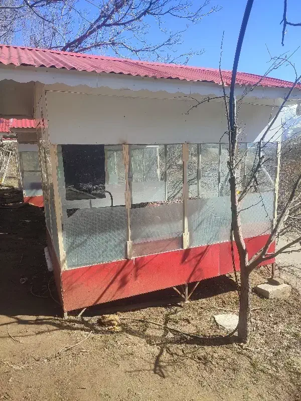 آلاچیق|مصالح و تجهیزات ساختمان|کشکسرای, |دیوار