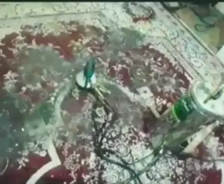 مبل شویی و قالیشویی پاکان|خدمات نظافت|شیراز, ریاستی|دیوار