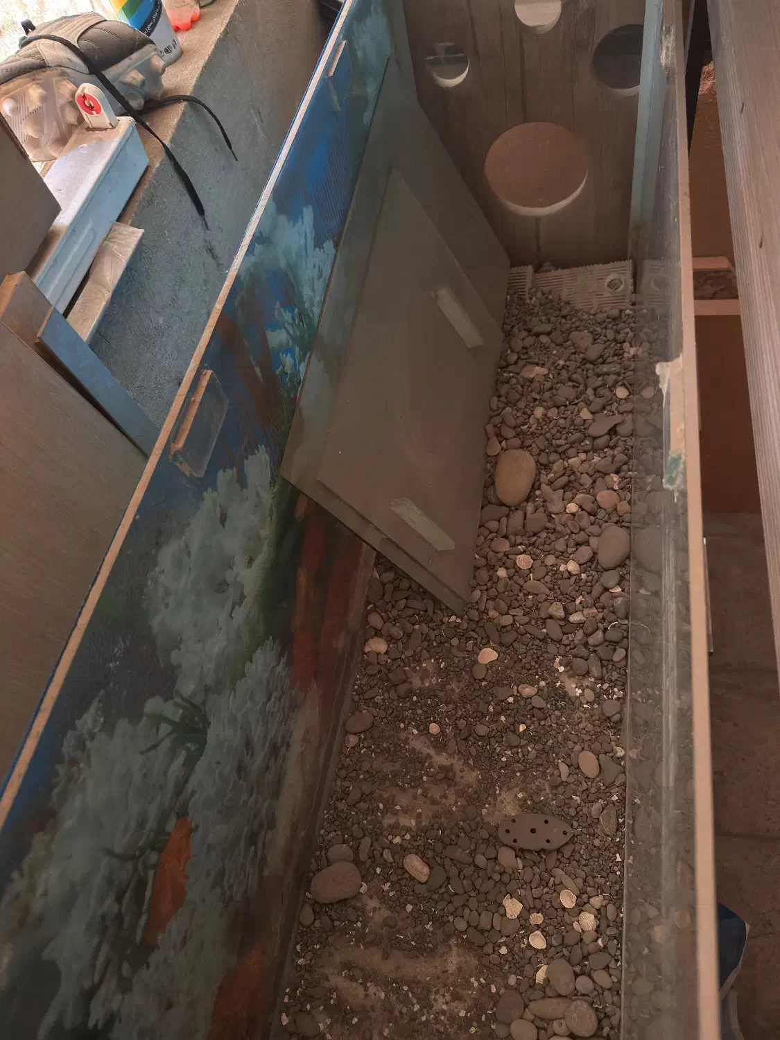 اکواریوم|ماهی|تهران, شهرک بوعلی|دیوار