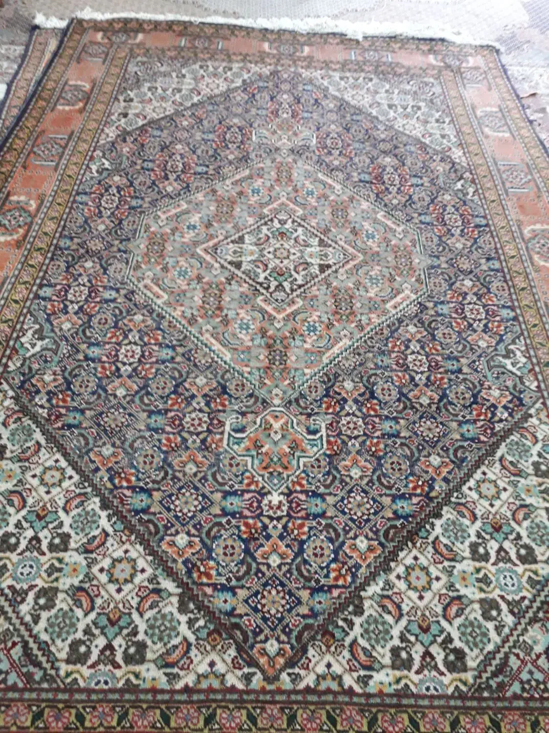 یک جفت فرش ۶ متری دست بافت طبیعی ریزه ماهی|فرش|اردبیل, |دیوار
