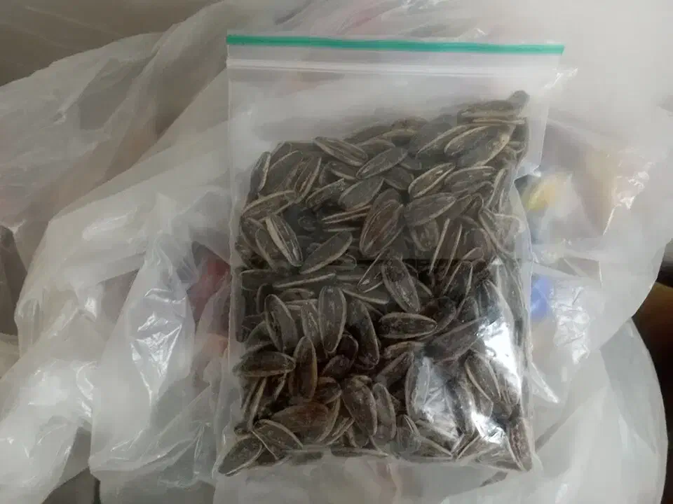 تخمه آفتابگردان بسته بندی|خوردنی و آشامیدنی|اهواز, کوی مندلی(سه راه خرمشهر)|دیوار