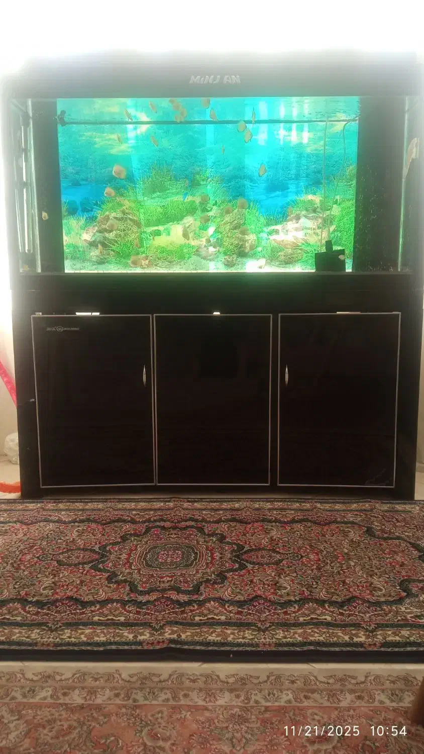 اکواریوم به همراه ماهی|ماهی|مشهد, کلاهدوز|دیوار