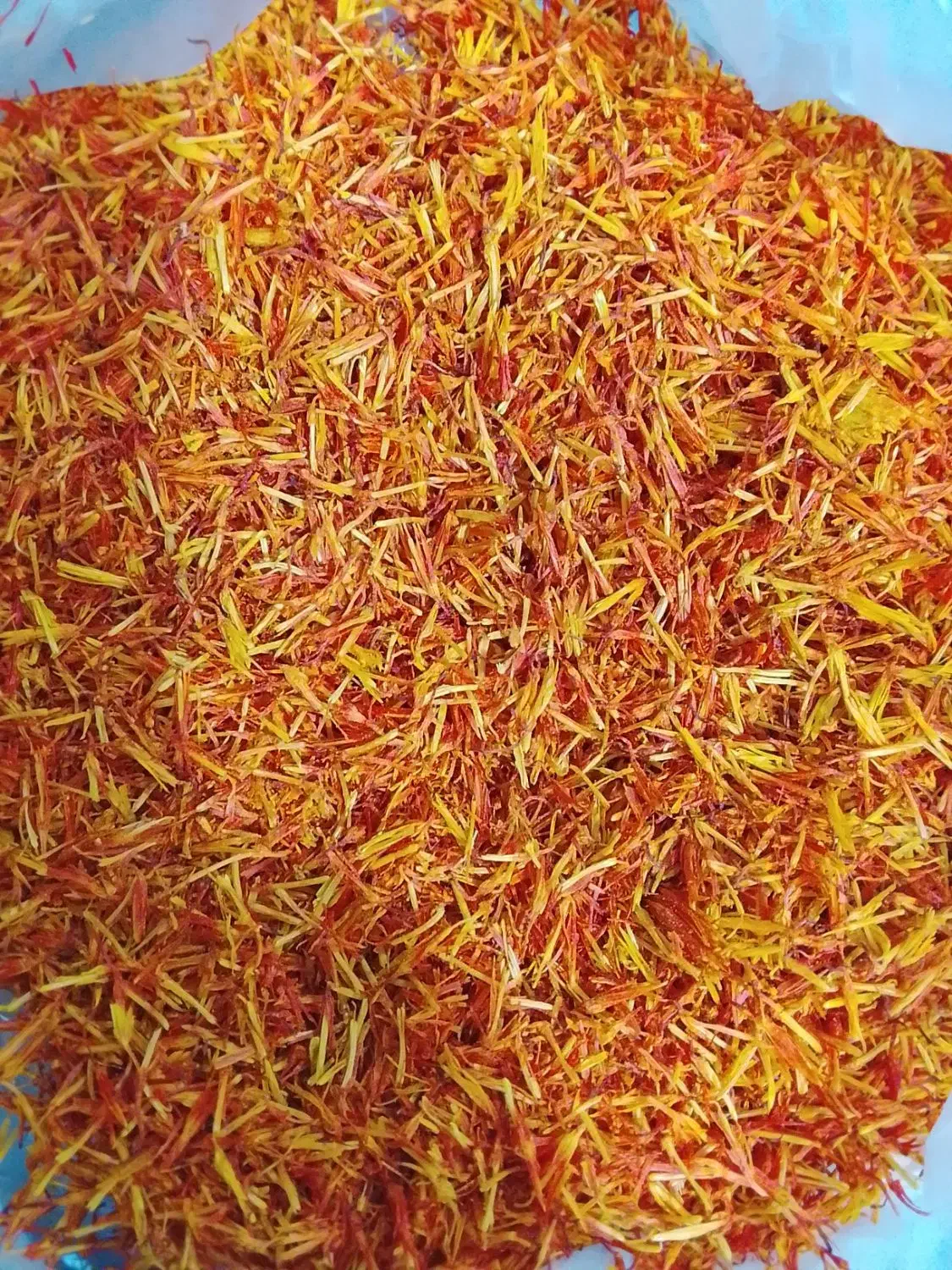 گلرنگ|خوردنی و آشامیدنی|شیراز, سعدیه شمالی|دیوار