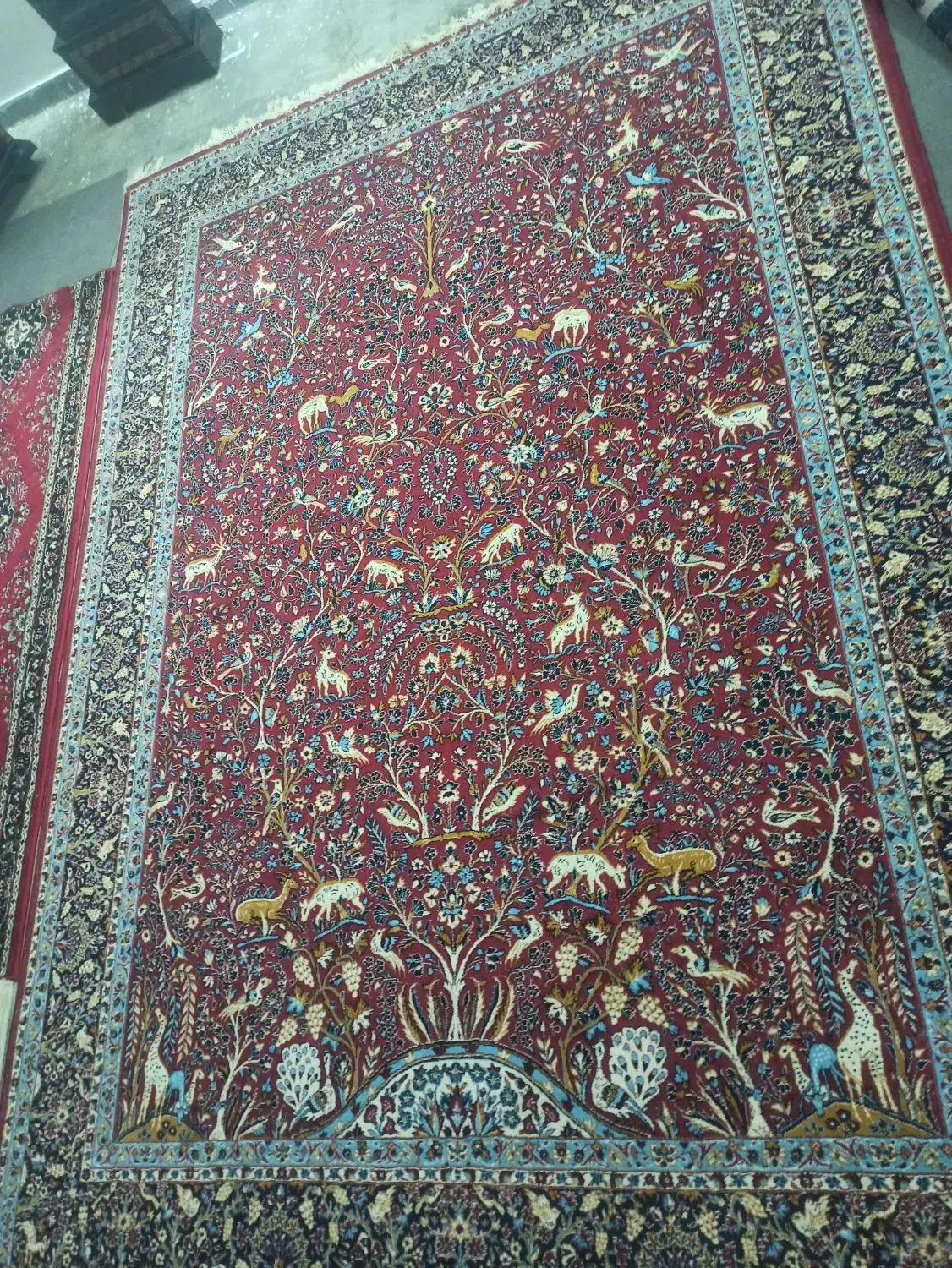 فرش نه متری|فرش|آمل, |دیوار