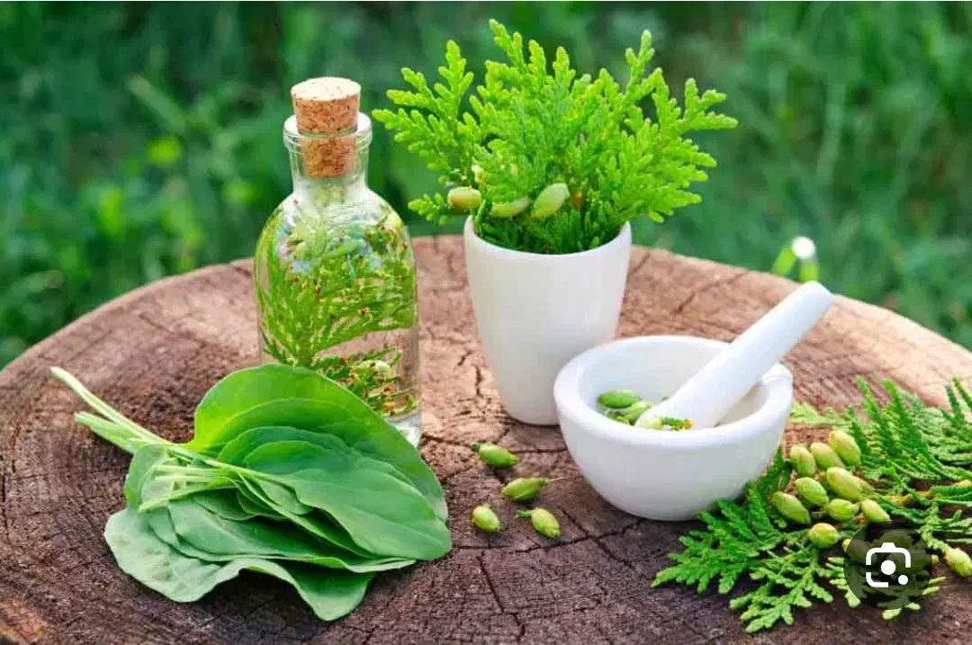 آموزش و همکاری بانوان بصورت آنلاین|استخدام بازاریابی و فروش|سراوان, |دیوار