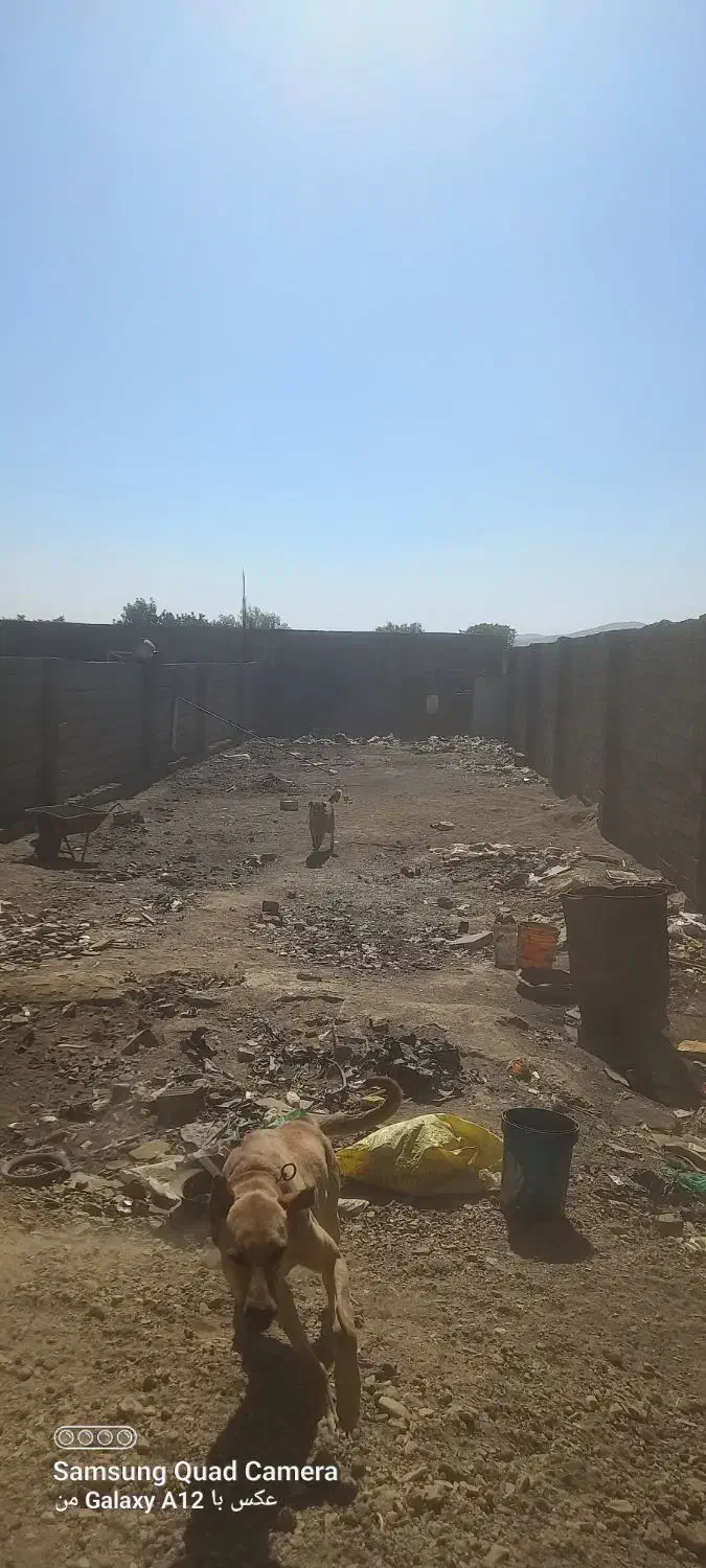 اجاره زمین چهار دیواری|اجارهٔ دفتر صنعتی، کشاورزی، تجاری|ملایر, |دیوار