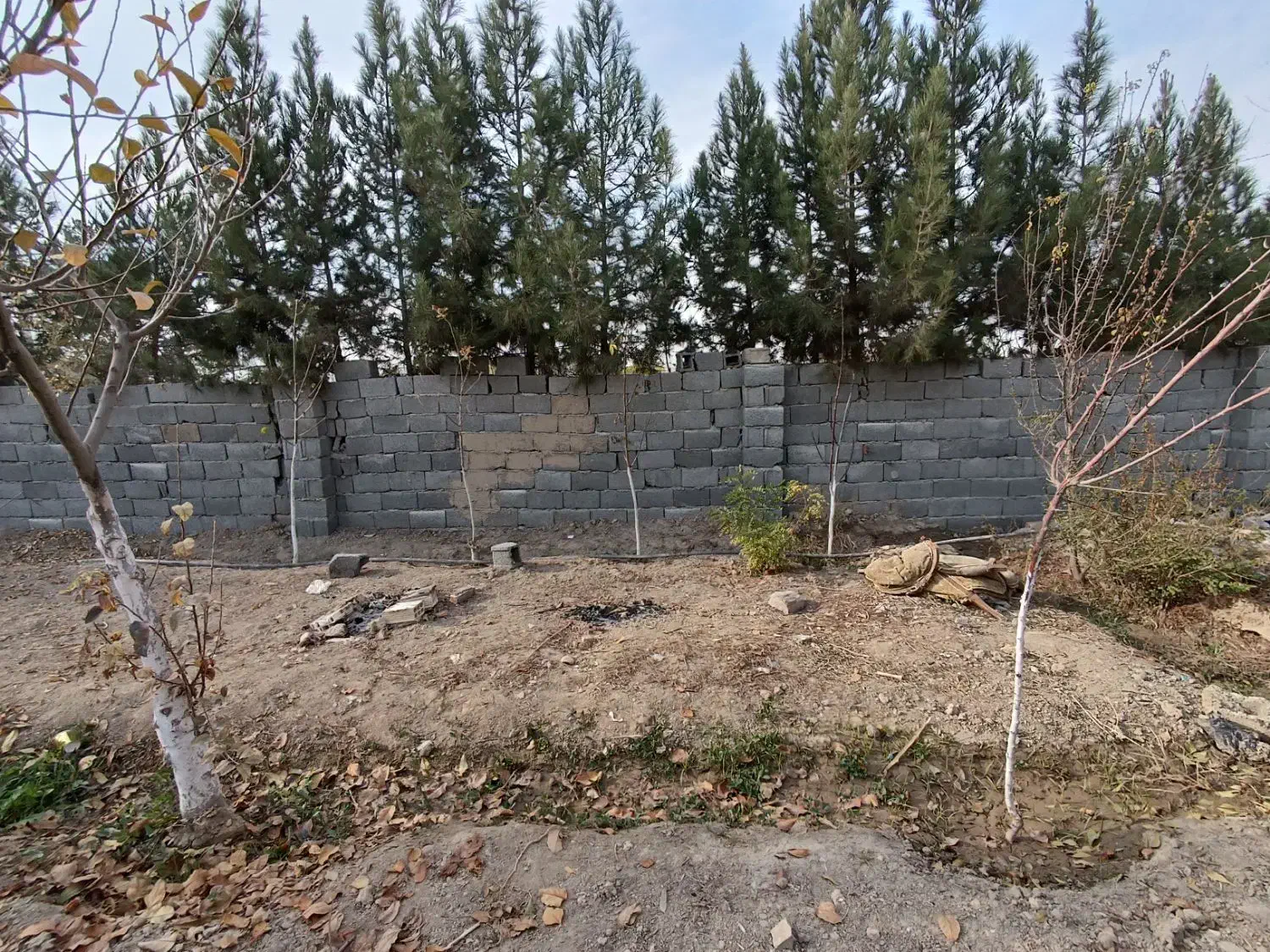 باغ استسنایی|فروش زمین و ملک کلنگی|اسلام‌شهر, کاشانک|دیوار