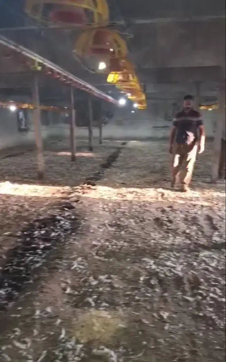 کود مرغی کف سالن|عمدهفروشی|خزل, |دیوار