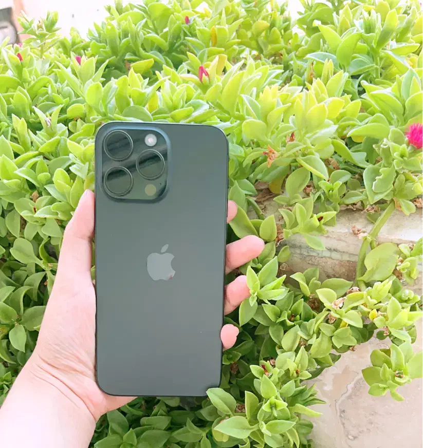 اپل iPhone 15 Pro Max با حافظهٔ ۲۵۶ گیگابایت|موبایل|شیراز, بعثت|دیوار
