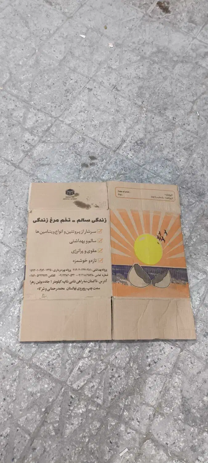 کارتون تخم مرغ|عمدهفروشی|کبودرآهنگ, |دیوار