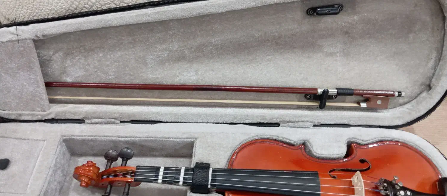 ویالون ۱/۲ مدل ولنسیا|ویولن|شهریار, شهریار|دیوار