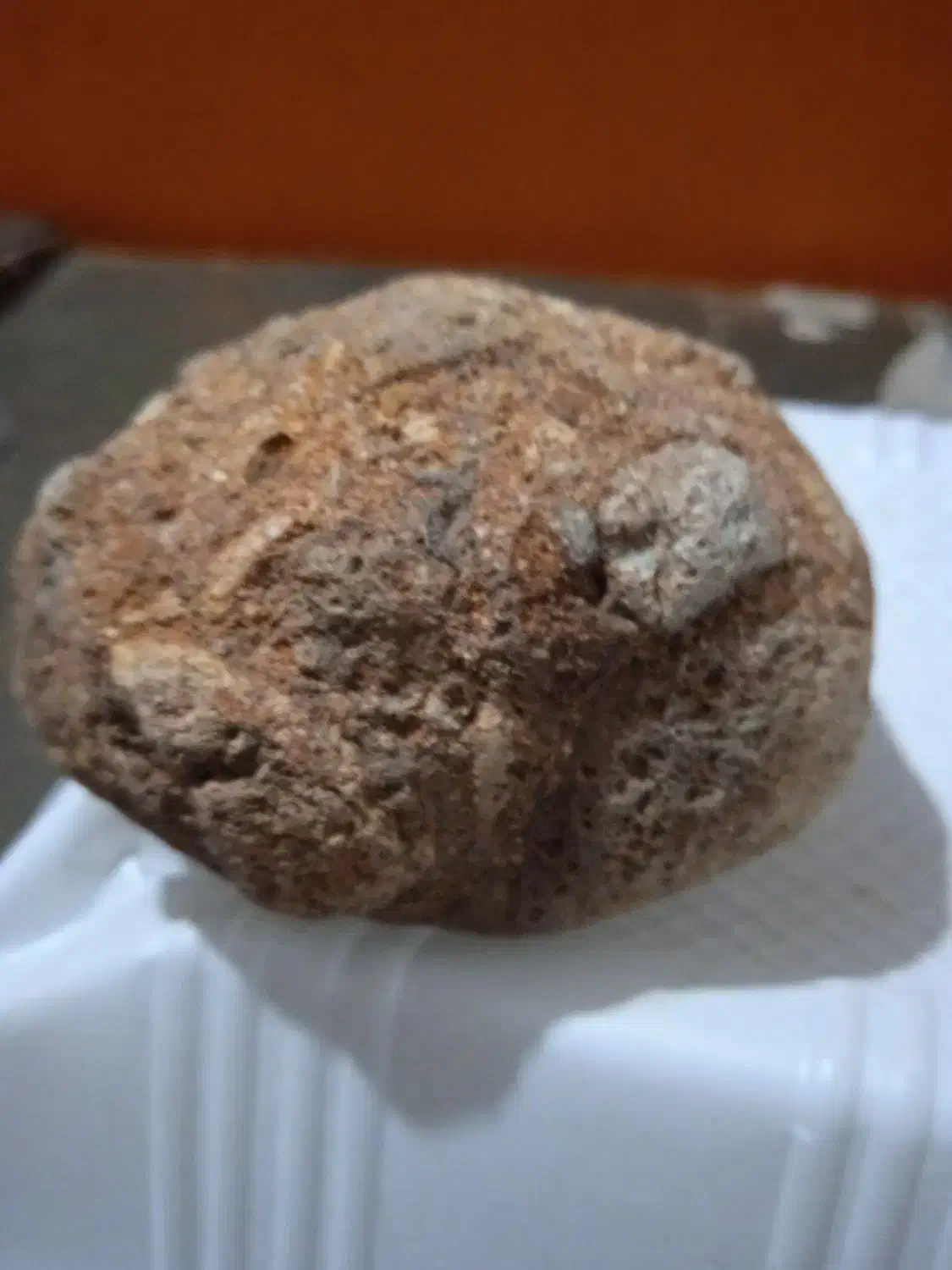 فروش تعدادی سنگ آسمانی|کلکسیون اشیاء عتیقه|خوی, |دیوار