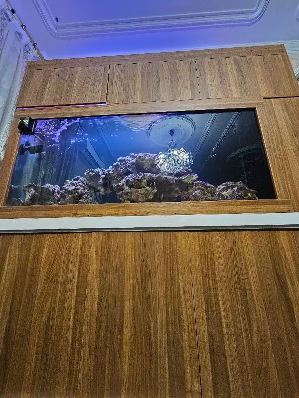 آکواریوم آب شور|ماهی|تهران, منیریه|دیوار