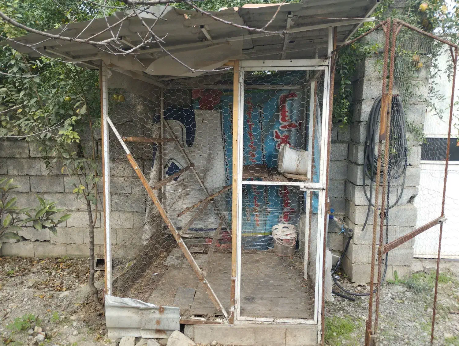 قفس مرغ ارتفاع 180سانت|لوازم جانبی حیوانات|چمستان, |دیوار