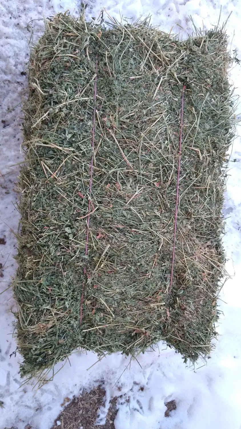 یونجه و ذرت|عمدهفروشی|دشتابی, |دیوار