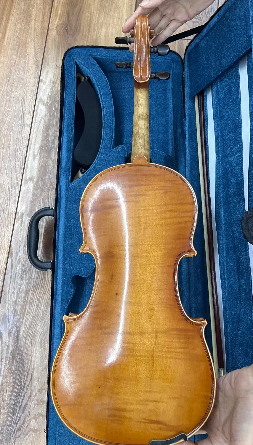 ویولن Romance|ویولن|اصفهان, سروستان|دیوار