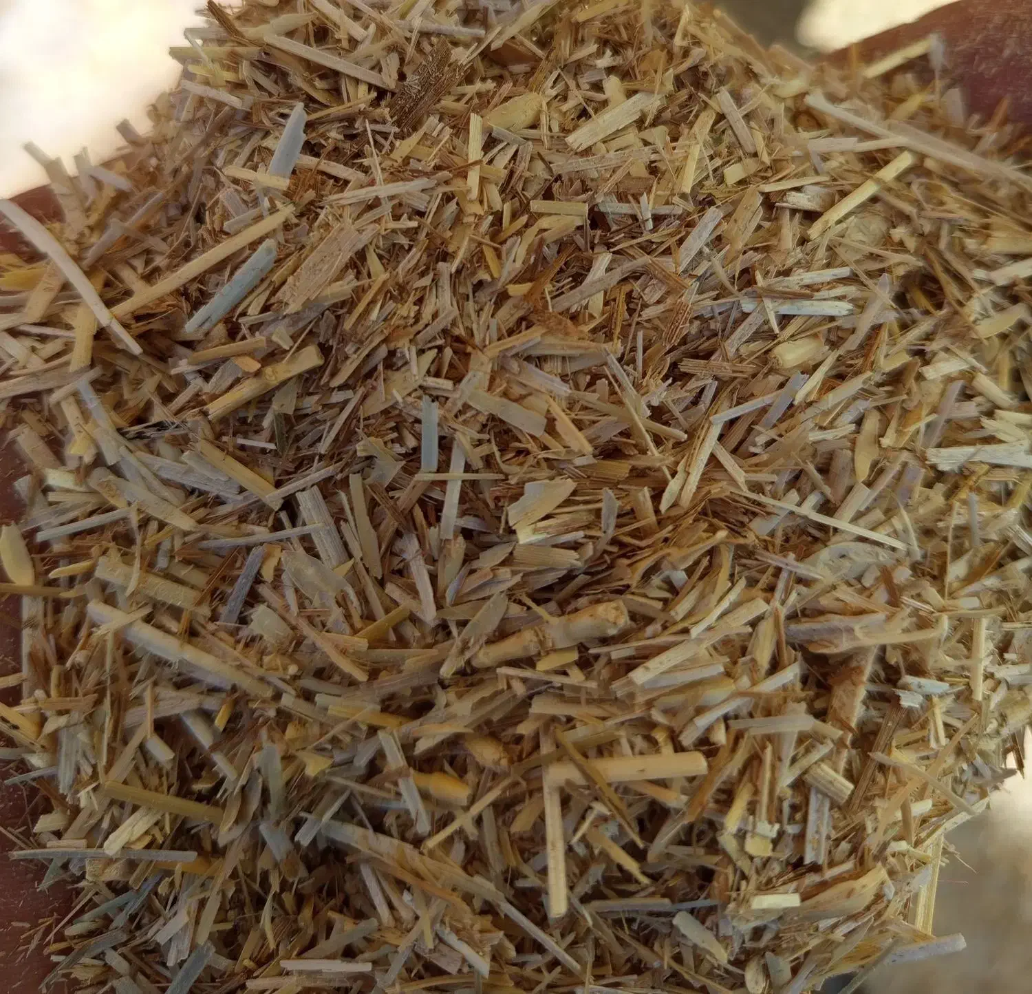 کاه فروشی|حیوانات مزرعه|قره چای, |دیوار