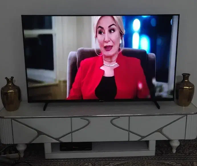 تلویزیون ۵۵ اینچ اسنوا|تلویزیون و پروژکتور|صدرا-فارس, فاز ۱|دیوار