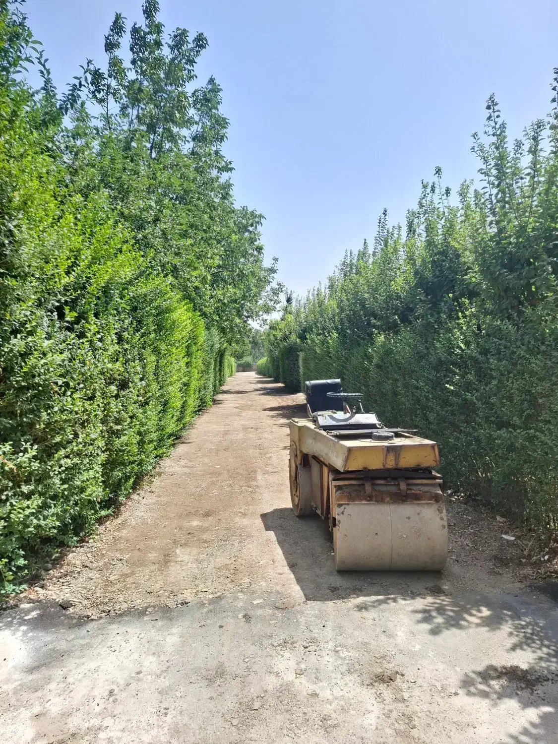 اجاره غلطک سه تنی ۲۵ تن ویبره ماشینی فلز شبانه روز|ماشین‌آلات صنعتی|چهاردانگه (تهران), |دیوار