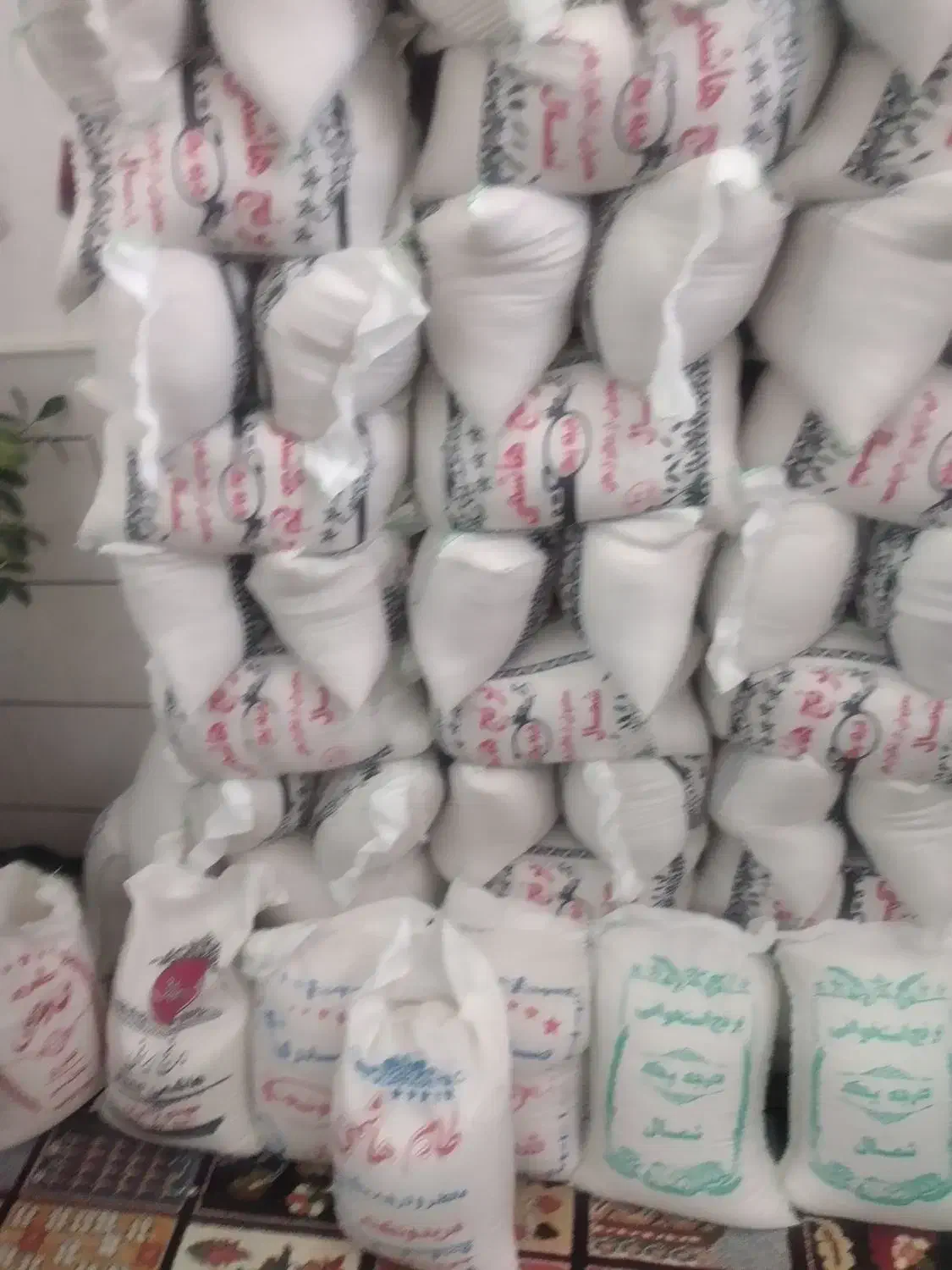 کشت دو ماهه فوق اعلا|خوردنی و آشامیدنی|کاشان, مشکات|دیوار