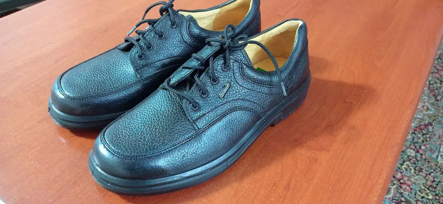 کفش رومیکا ملّی۴۲|کیف، کفش، کمربند|اشتهارد, |دیوار