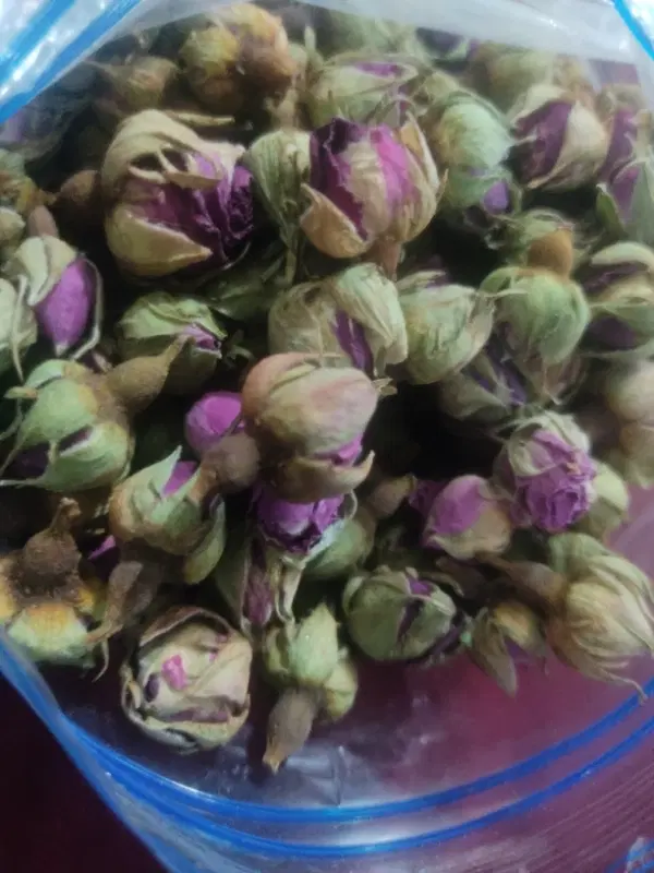 گل خشک|خوردنی و آشامیدنی|مریوان, |دیوار