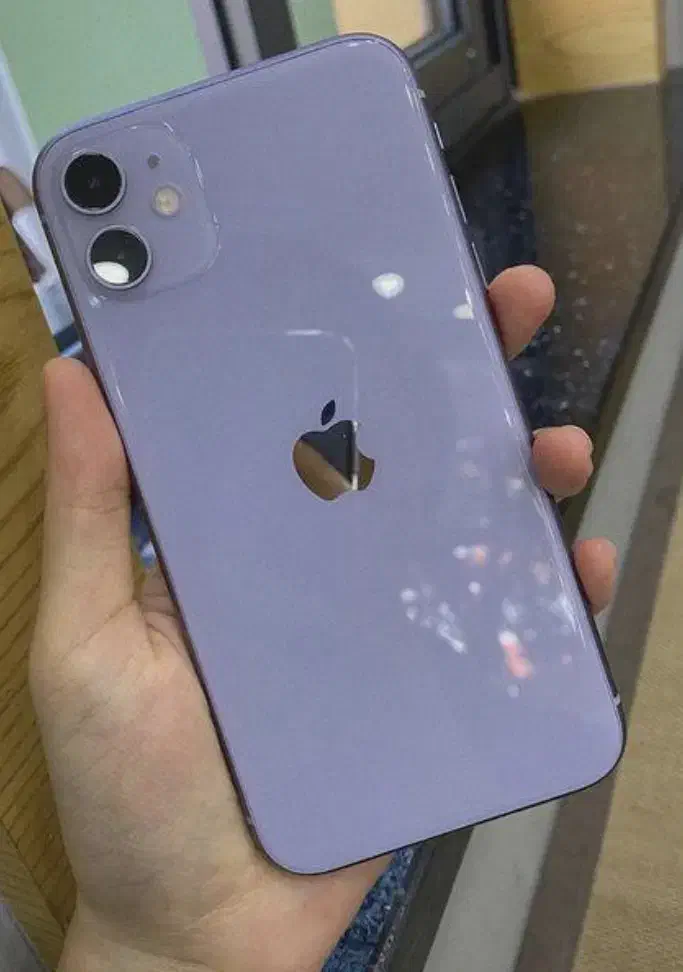 iPhone 11normal|موبایل|لاهیجان, شیشه گران|دیوار