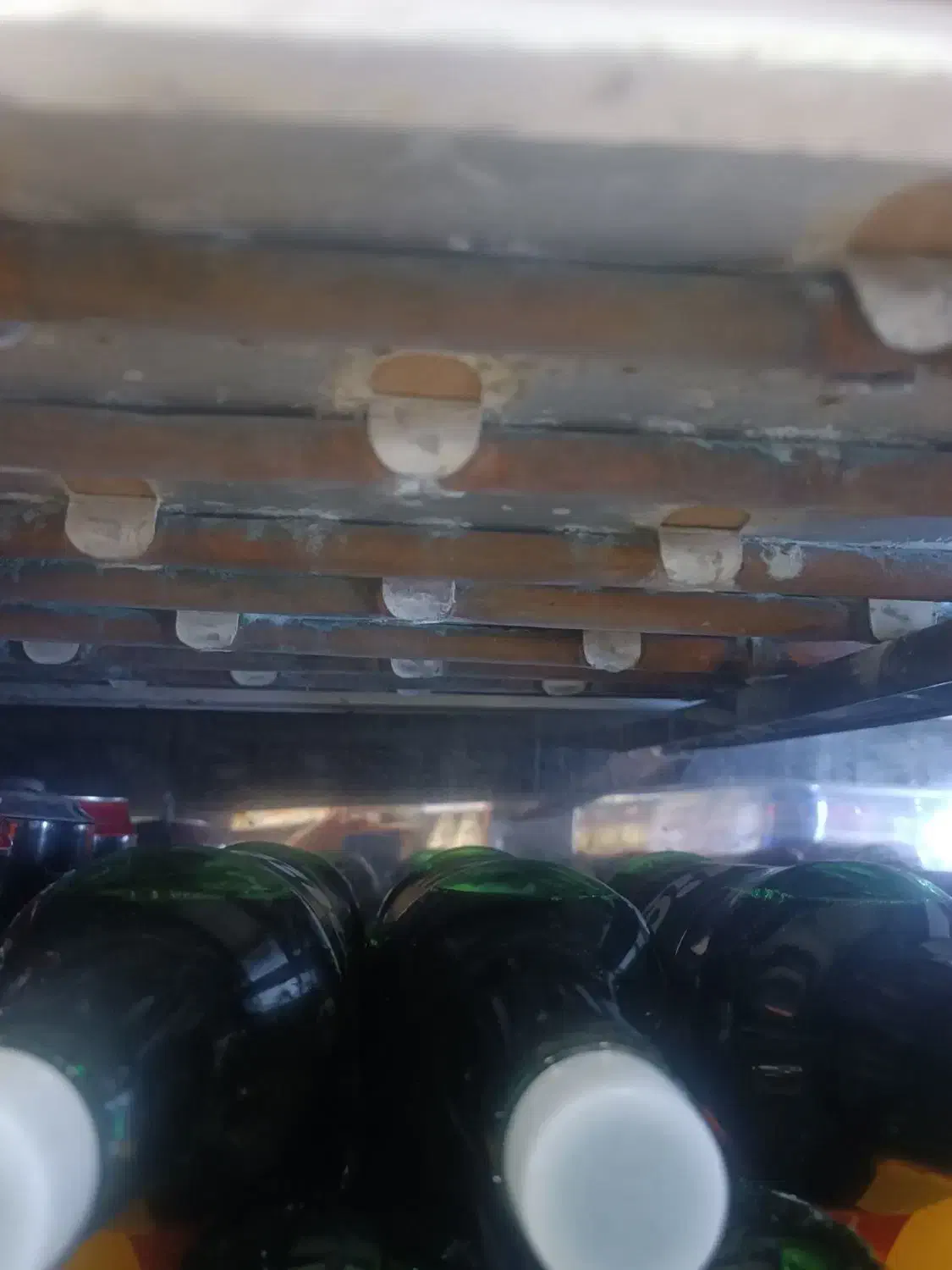 یخچال چهار درب فیریزر|فروشگاه و مغازه|شیراز, شریف‌آباد|دیوار