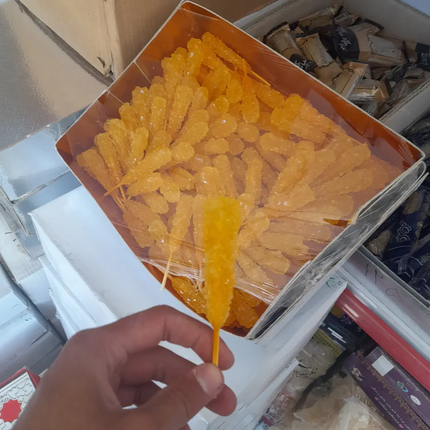 انواع نبات|خوردنی و آشامیدنی|شیراز, تندگویان|دیوار