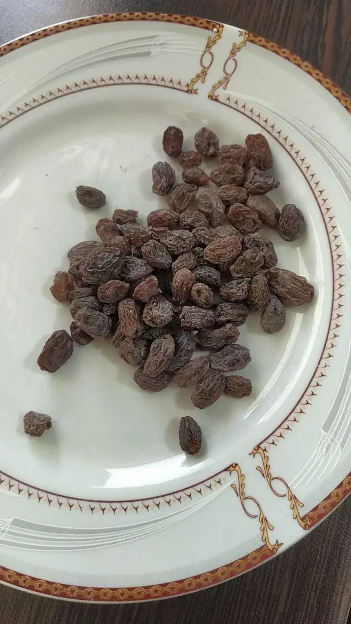 کشمش آفتابی انگور بیدانه ارداق درشت ودرجه یک|خوردنی و آشامیدنی|دشتابی, |دیوار