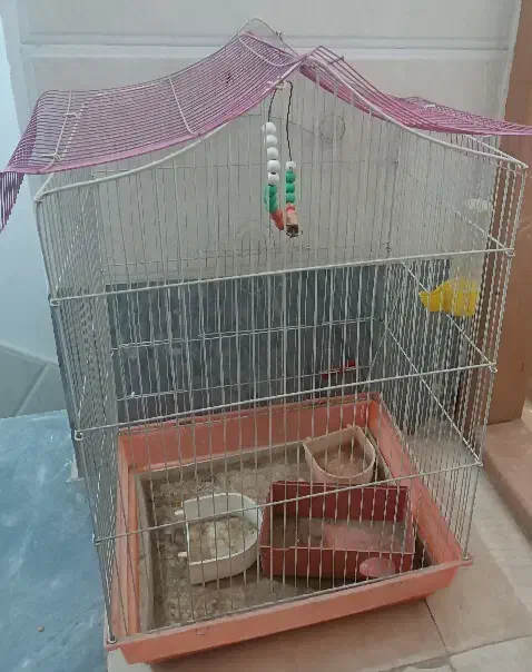 قفس بزرگ|لوازم جانبی حیوانات|قم, نیروگاه|دیوار