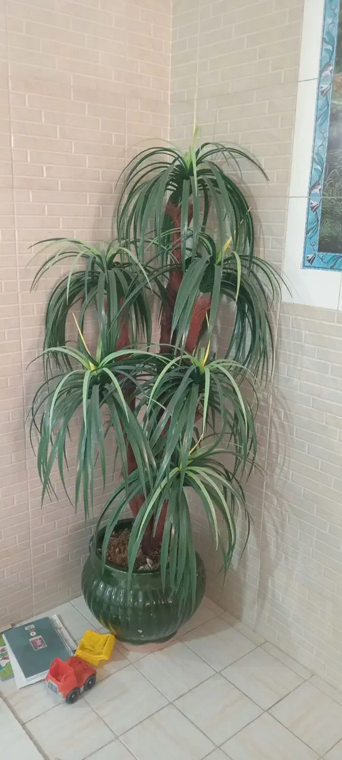 درختچه نخل|گل مصنوعی|کرمانشاه, |دیوار