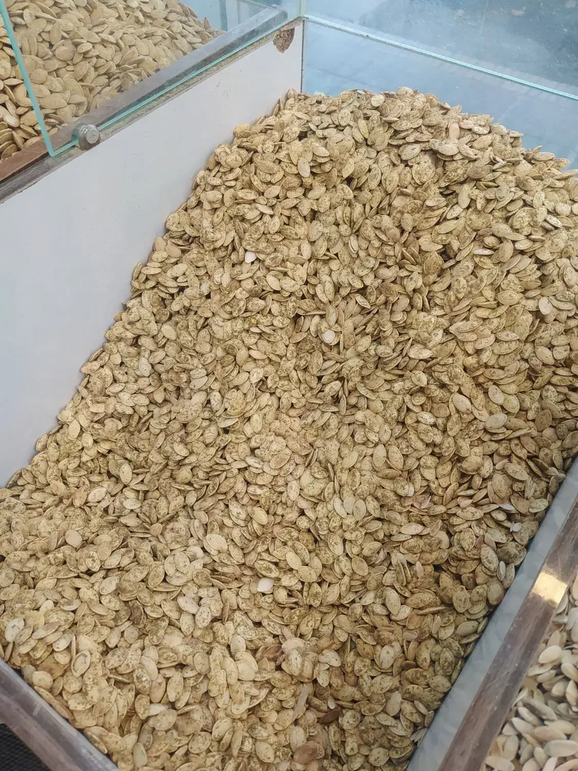 تخمه گل افتاب و کدو|خوردنی و آشامیدنی|اصفهان, جلالیه|دیوار