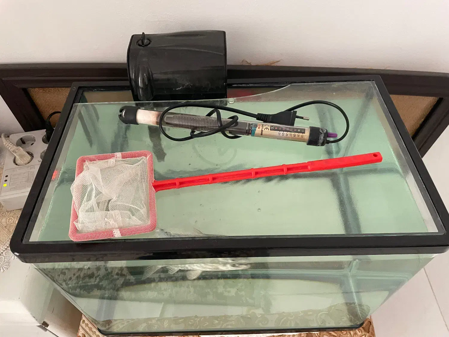 آکواریوم|ماهی|مشهد, کارمندان دوم|دیوار