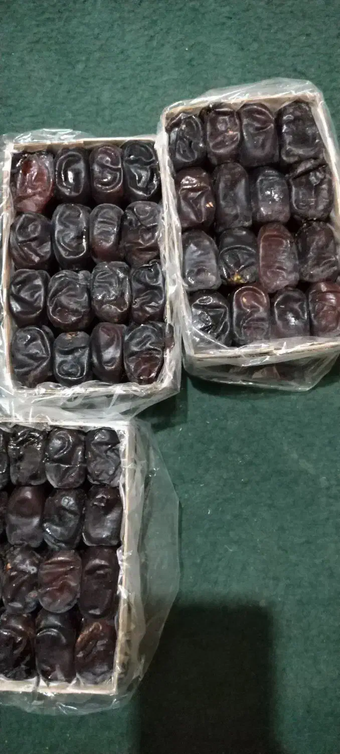 خرما مضافتی|خوردنی و آشامیدنی|ریگان, |دیوار