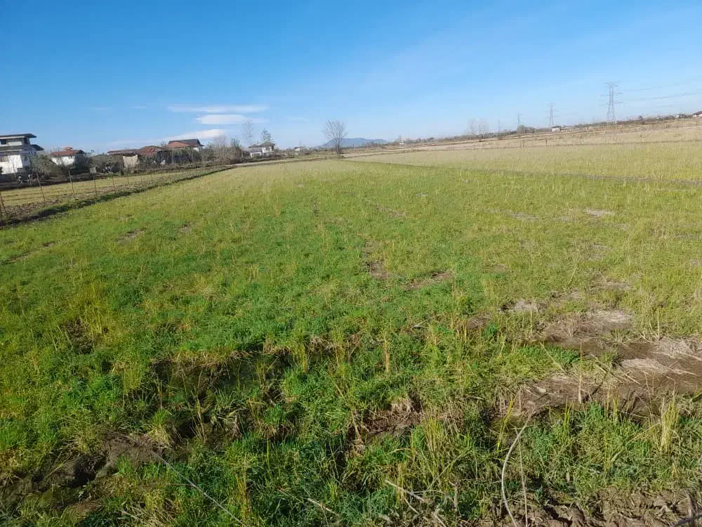 فروش زمین|فروش زمین و ملک کلنگی|کلاچای, |دیوار