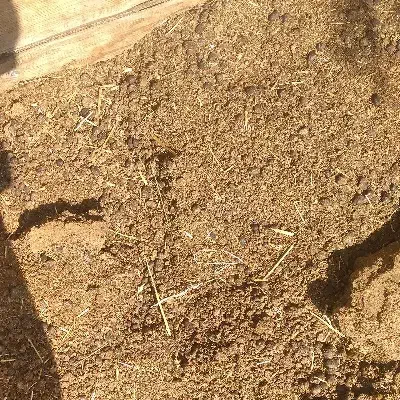 فروش کود گوسفند پوسیده   ‌|گل و گیاه طبیعی|سیرجان, |دیوار