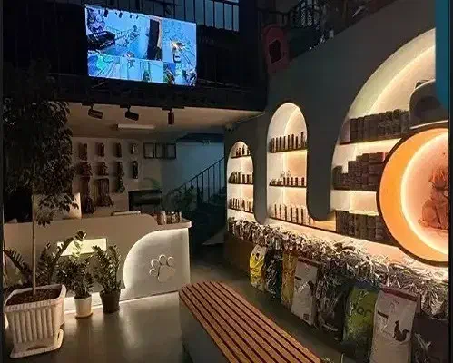 منشی، فروشنده خانم در بخش پذیرش کلینیک ایرانا بابل|استخدام بازاریابی و فروش|بابل, |دیوار