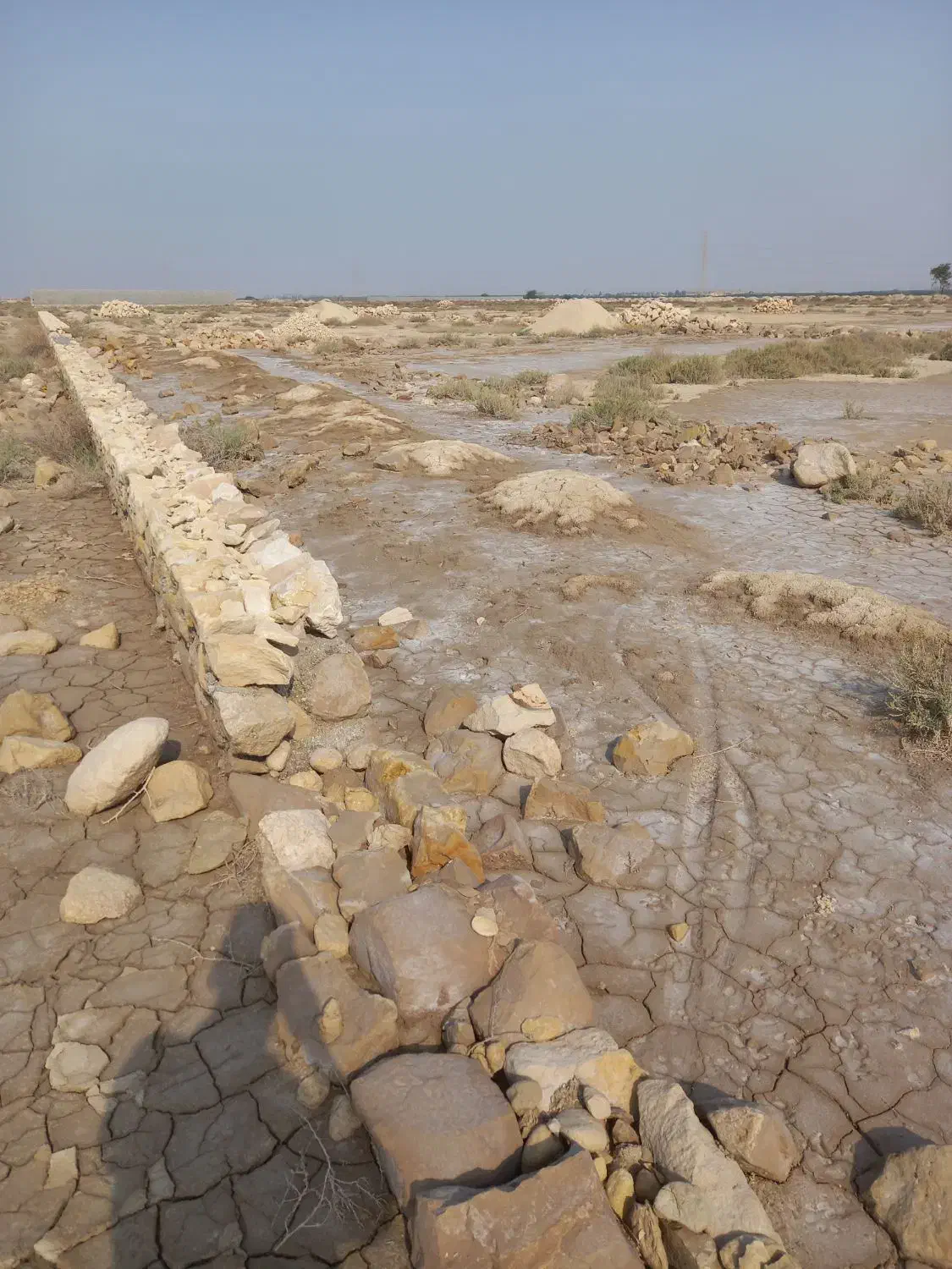 5000 زمین|فروش دفتر صنعتی، کشاورزی، تجاری|بوشهر, |دیوار