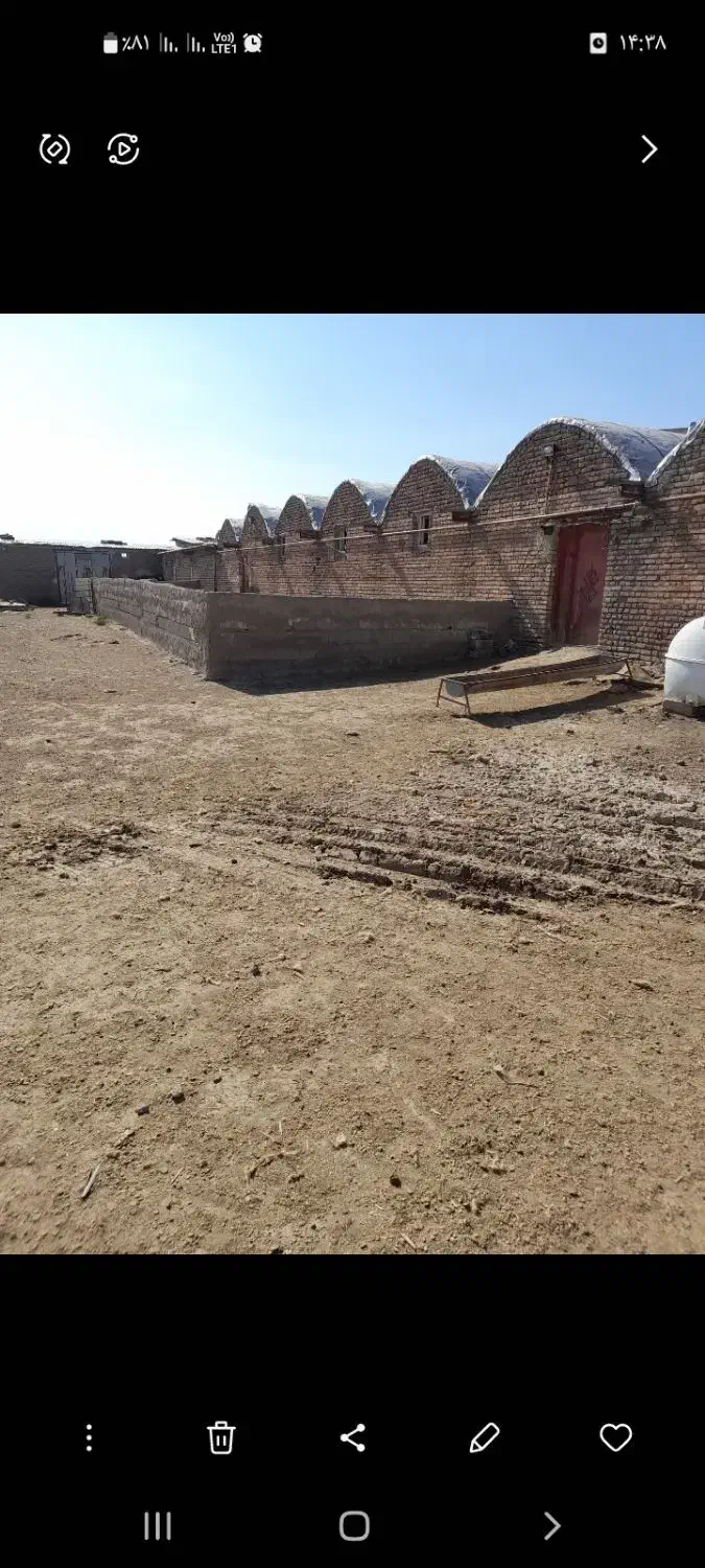 اجاره دامداری|اجارهٔ دفتر صنعتی، کشاورزی، تجاری|ارشق, |دیوار