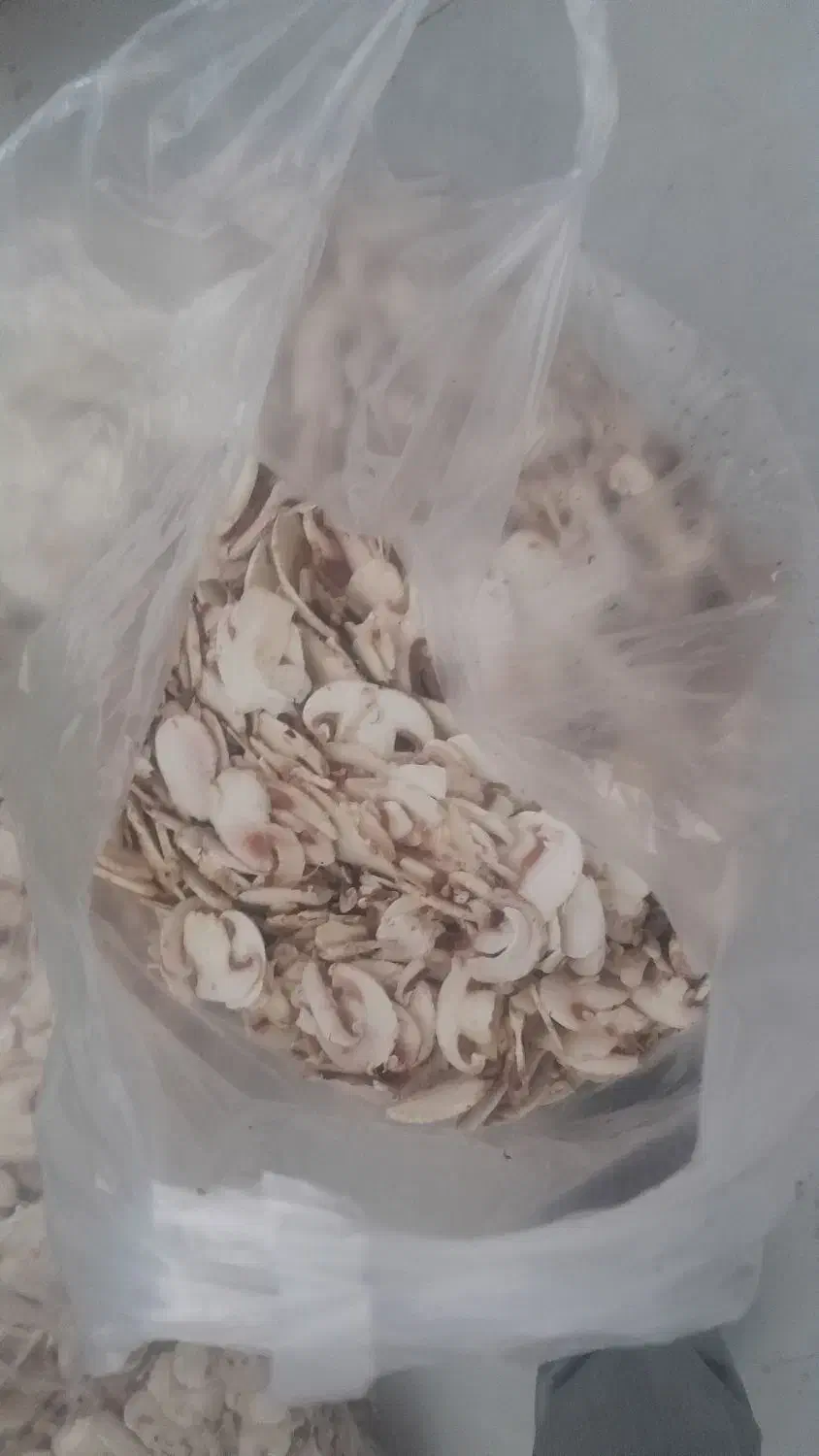 قارچ اسلایس شرکتی صورتی|خوردنی و آشامیدنی|شیراز, زرهی|دیوار