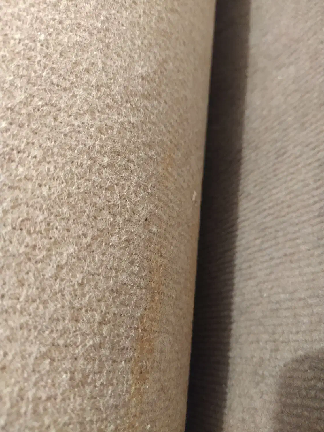 موکت|موکت|همدان, |دیوار