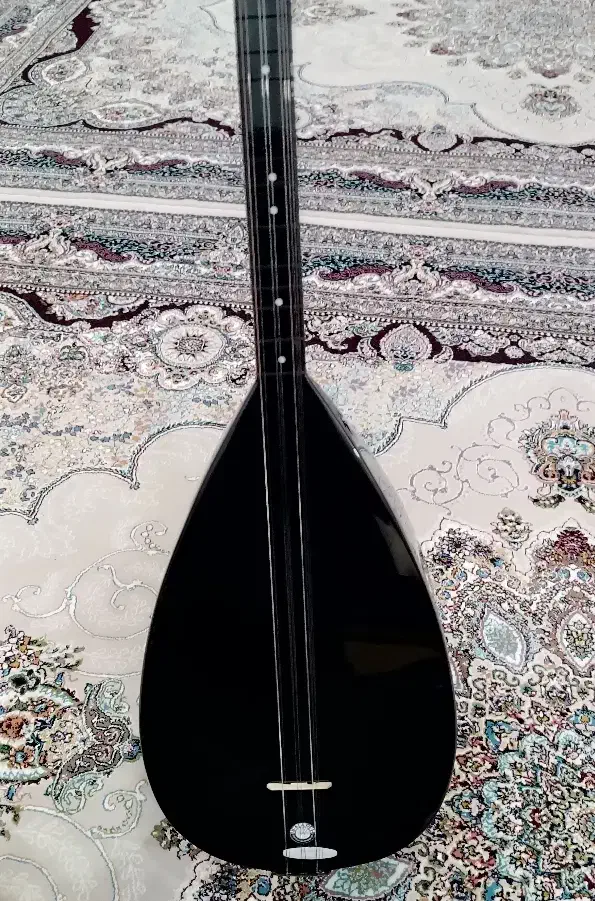 ساز باغلاما دیوان|سازهای سنتی|ارومیه, |دیوار