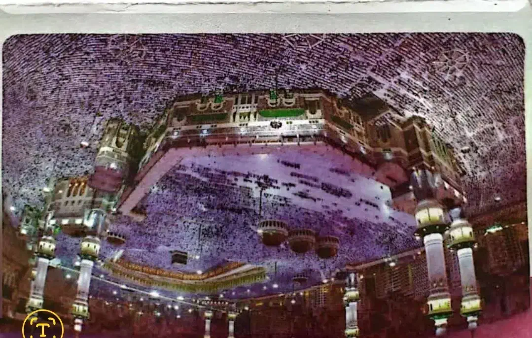 فیش عمره|تور و چارتر|عسلویه, |دیوار