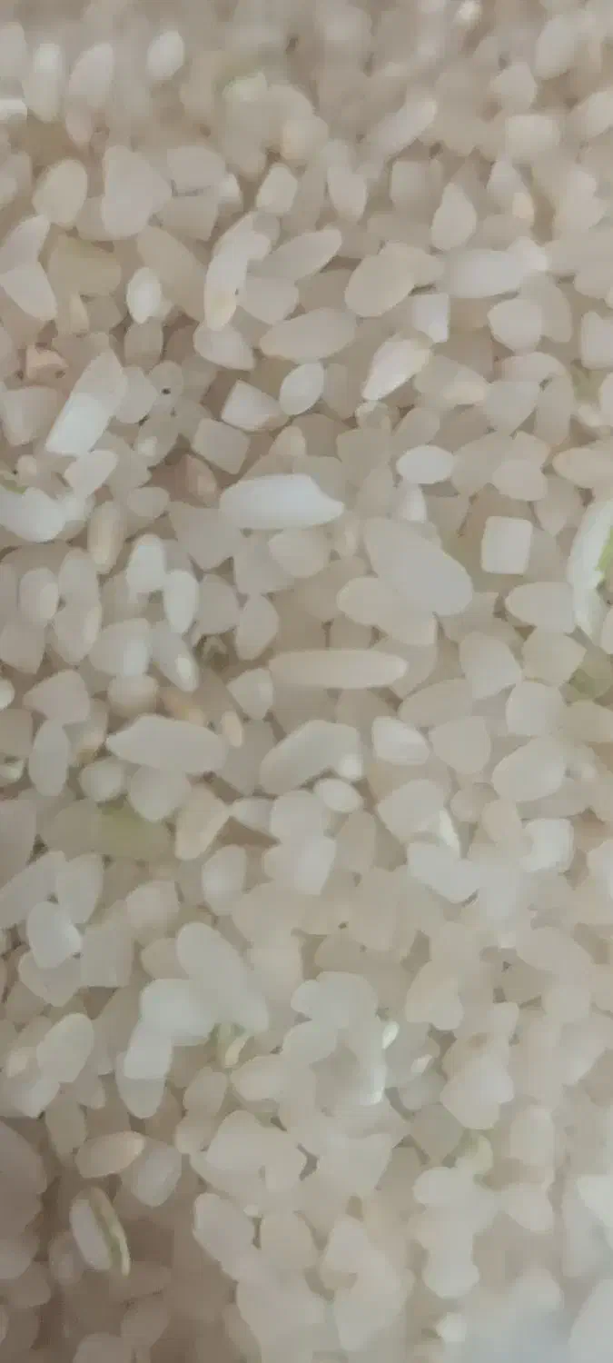 برنج کامفیروزی|عمدهفروشی|اصفهان, محمودیه|دیوار