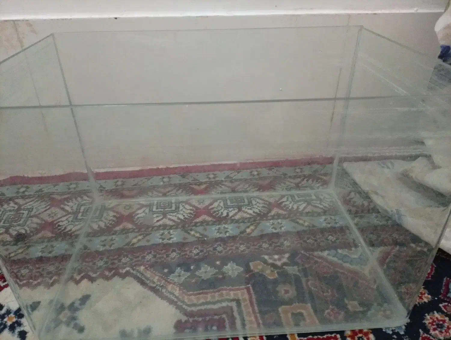 یک آکواریوم بزرگ سالم|ماهی|شیراز, شهدای شهرک سعدی|دیوار